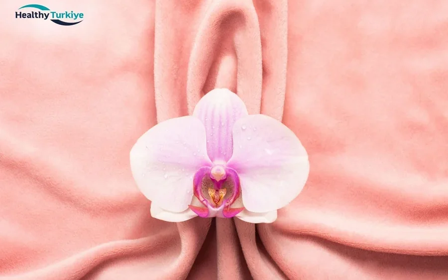 Labiaplasty