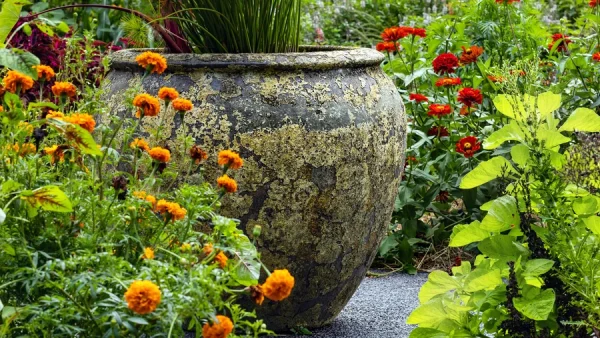 Harmonious Garden Spaces
