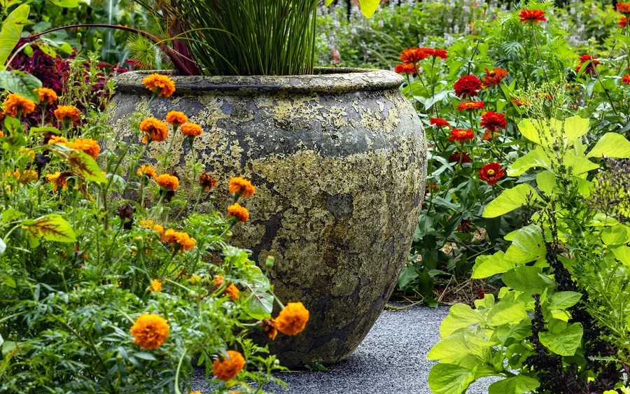 Harmonious Garden Spaces
